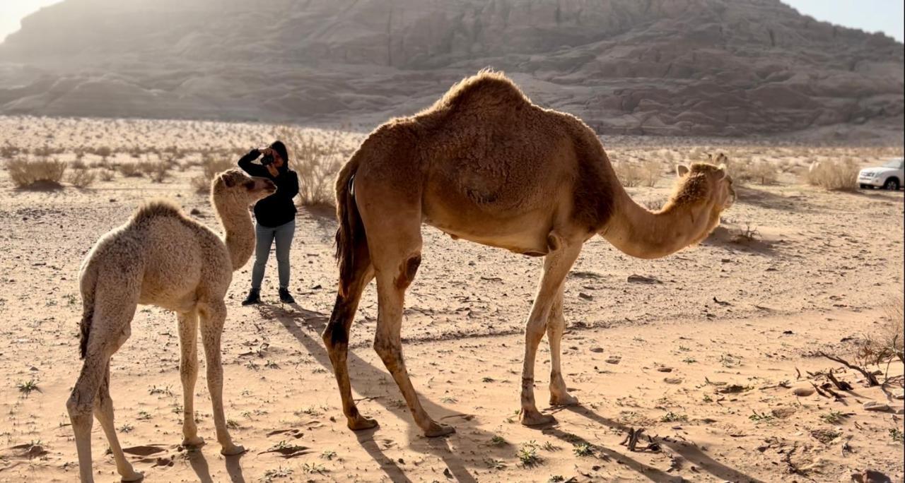 Wadi Rum Protected Area Camp Exterior photo