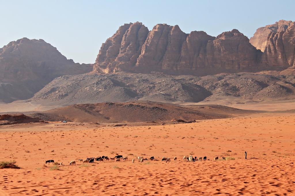 Wadi Rum Protected Area Camp Exterior photo