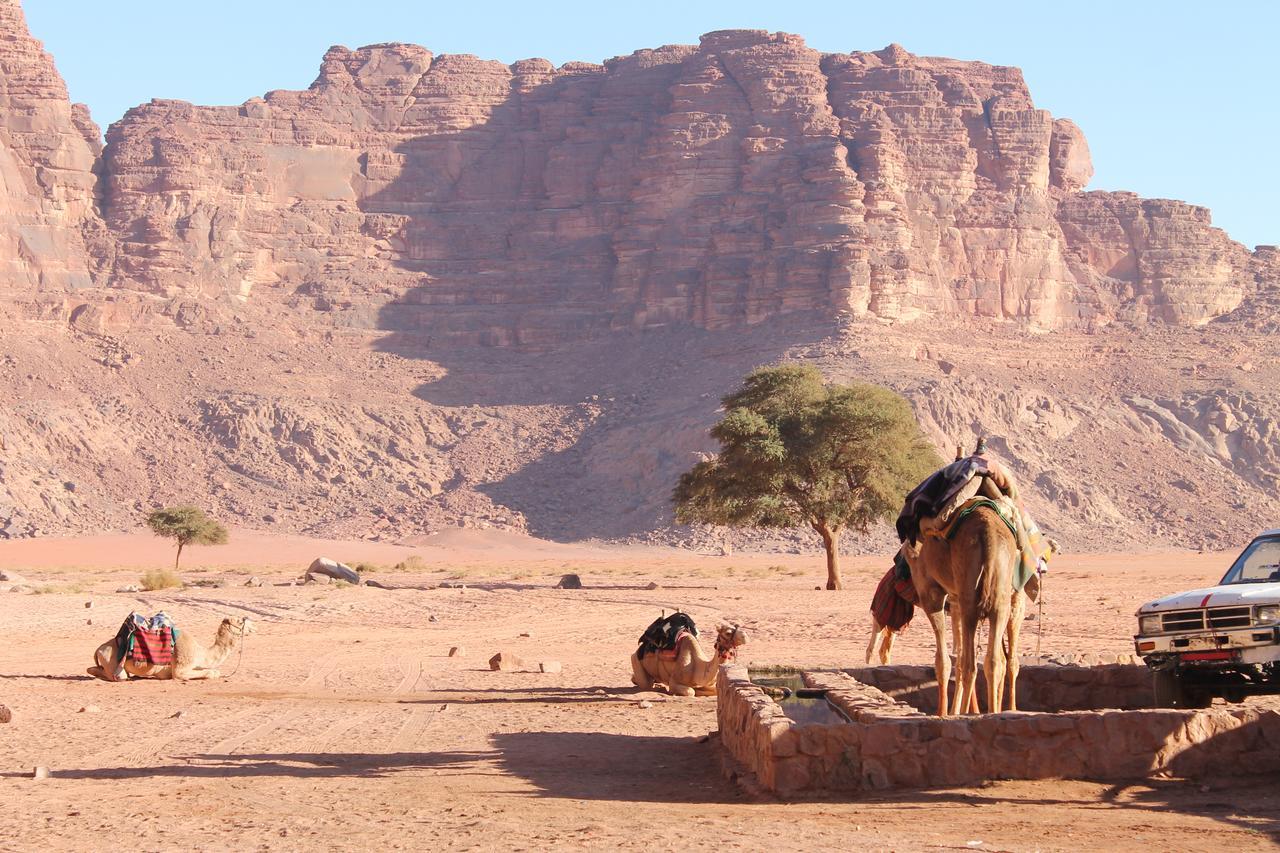 Wadi Rum Protected Area Camp Exterior photo