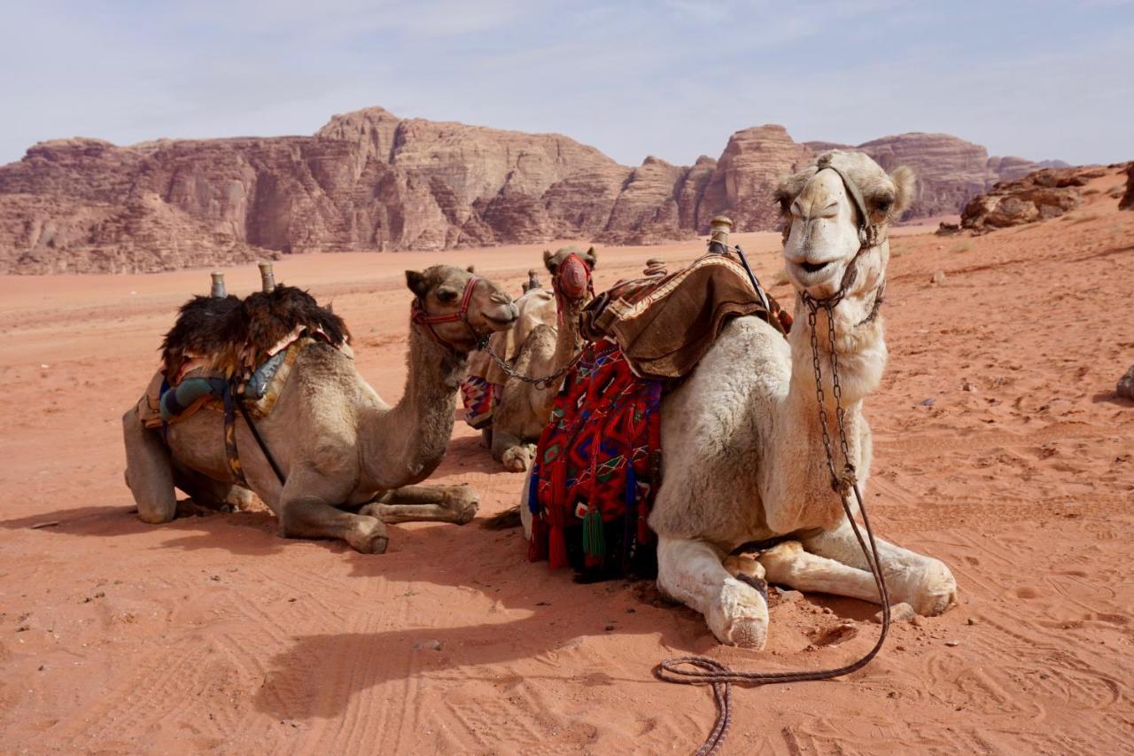 Wadi Rum Protected Area Camp Exterior photo