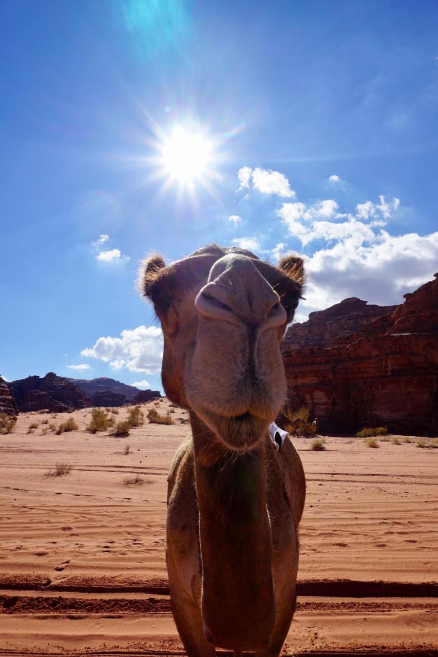 Wadi Rum Protected Area Camp Exterior photo