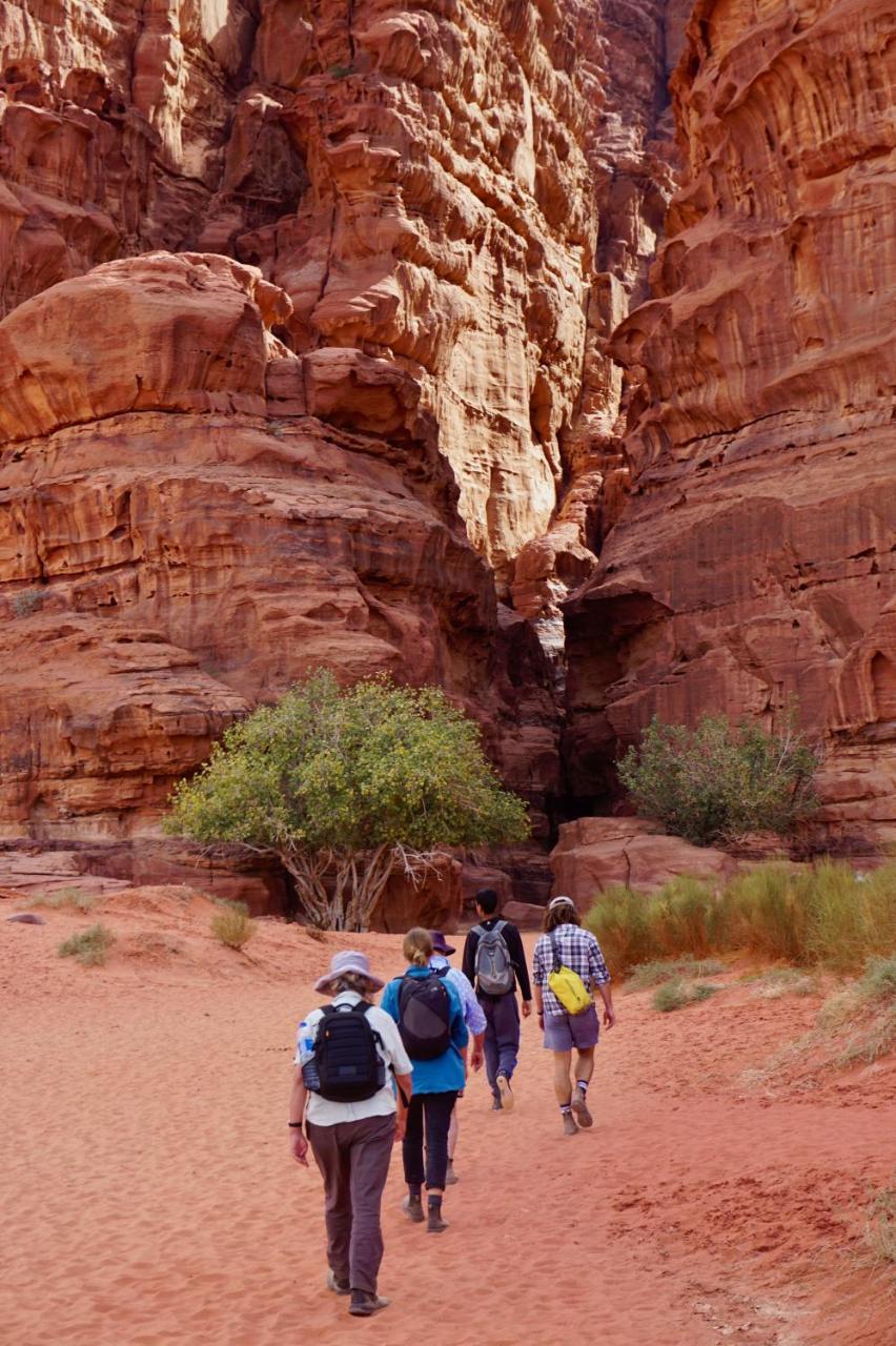 Wadi Rum Protected Area Camp Exterior photo